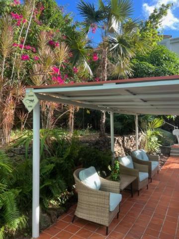 Inn The Iguana Charlotte Amalie