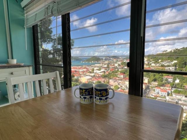 The Iguana Inn Charlotte Amalie