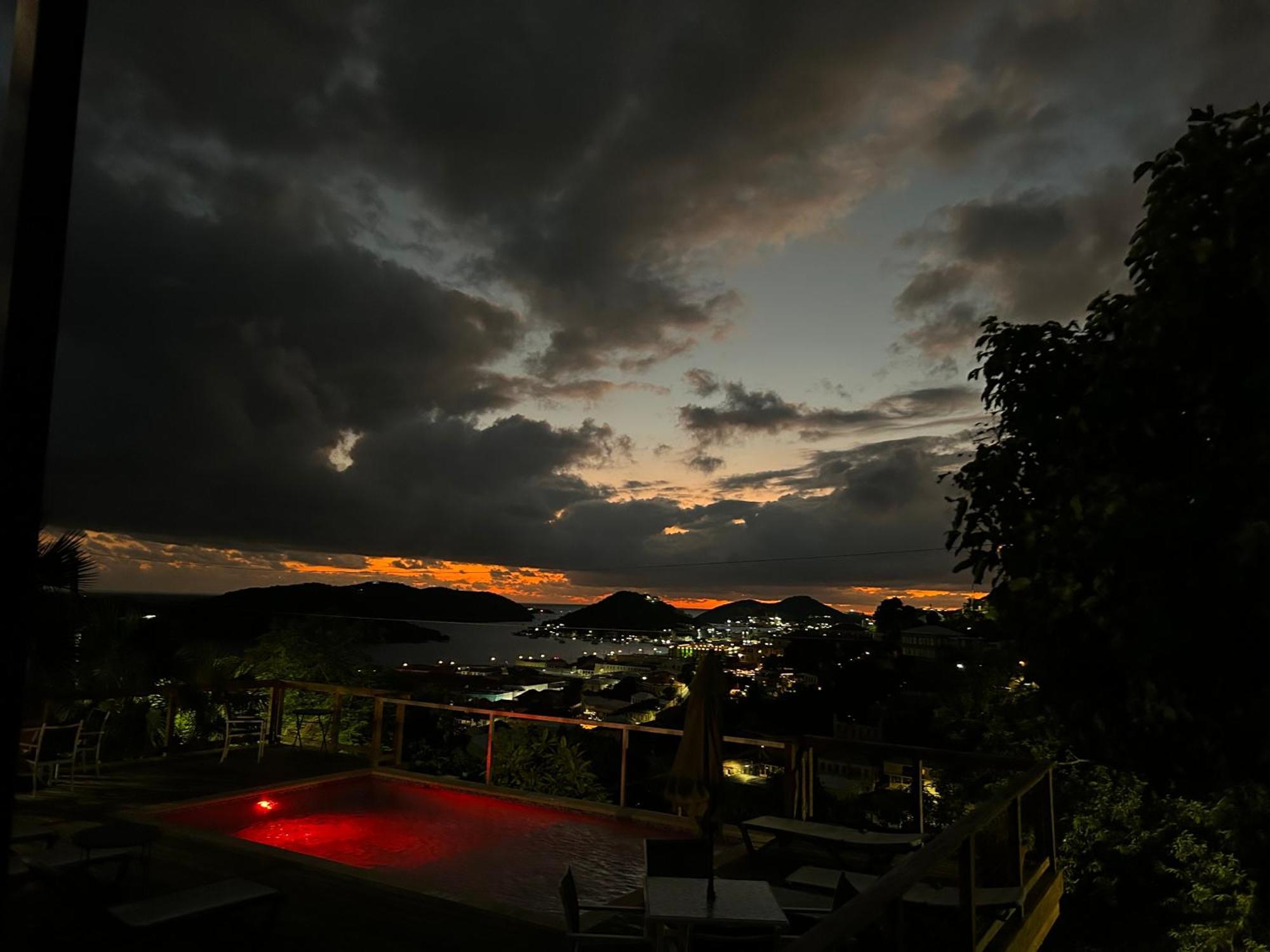 The Iguana * Charlotte Amalie