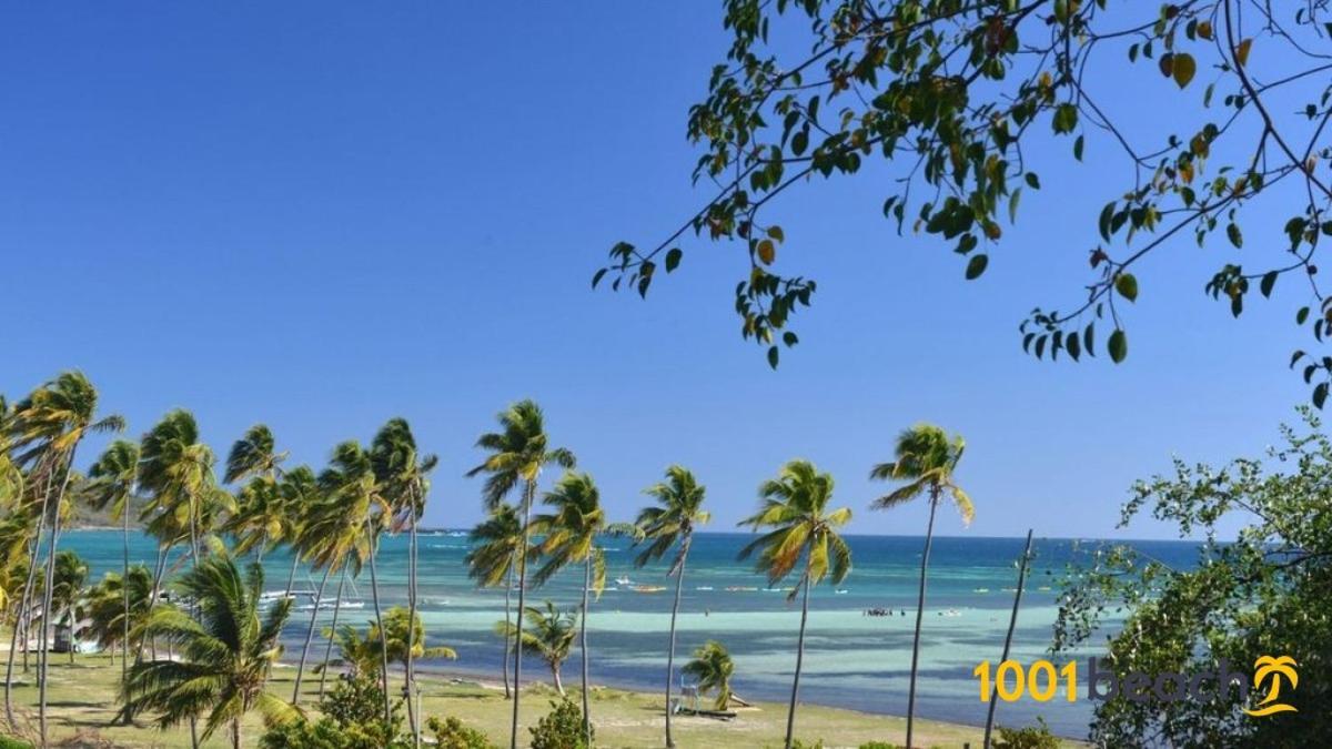 Le Ray Mundo F5 Villa