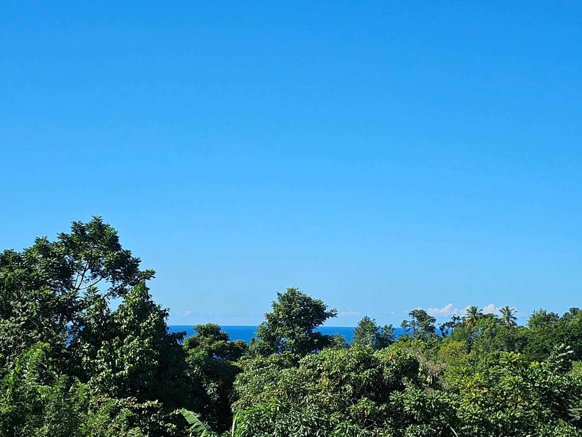 Royal Escape - 2 * Anse La Raye