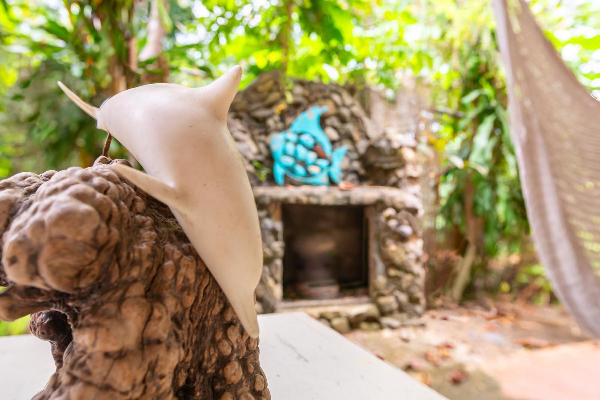 Apartment Casa Pina Suave #2 Jungle Seclusion Close To Ocean