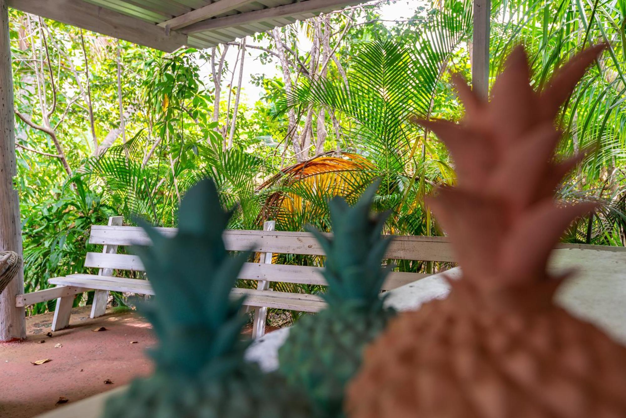 Casa Pina Suave #2 Jungle Seclusion Close To Ocean *