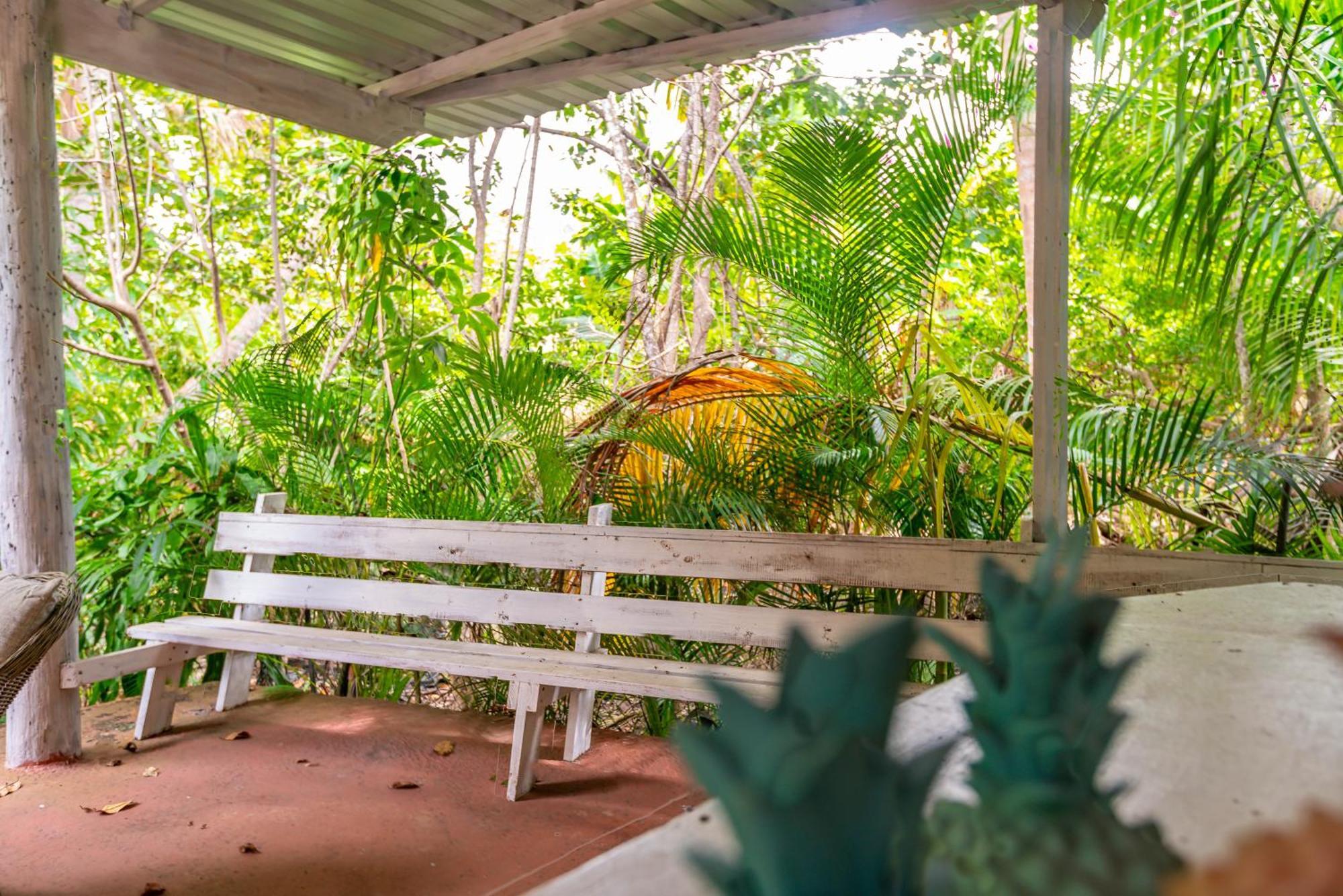 Apartment Casa Pina Suave #2 Jungle Seclusion Close To Ocean Rincon