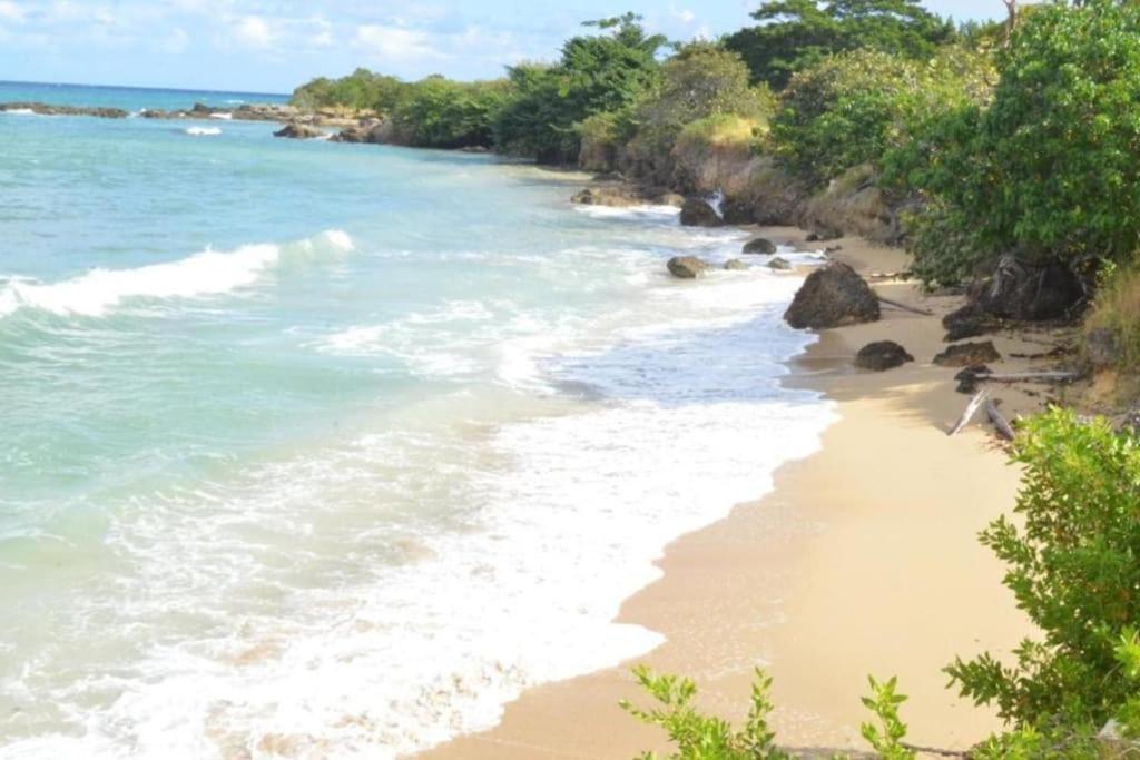 Villa Welcome To Our Ocean View Villa! Lucea