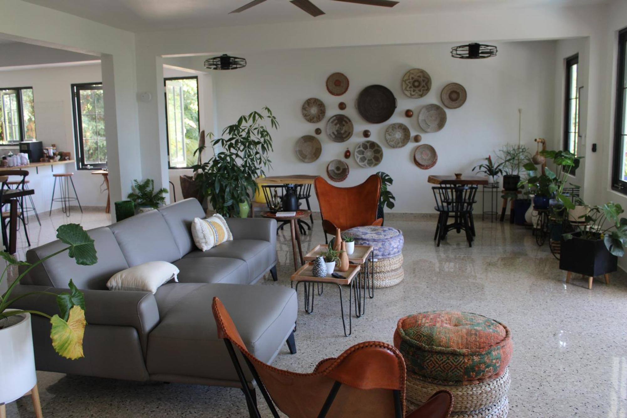 The Serene House *