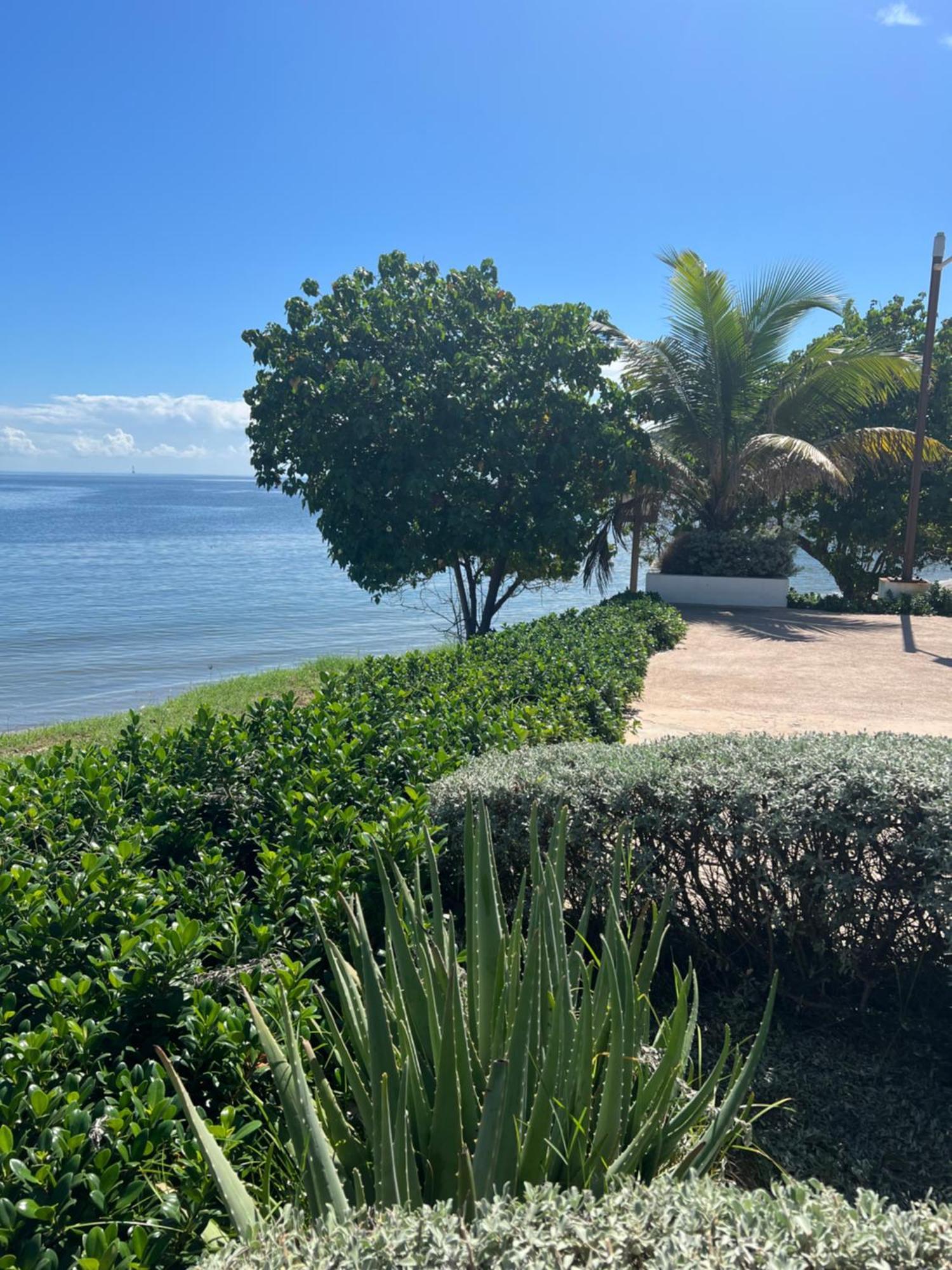 Apartamento Bayfront &