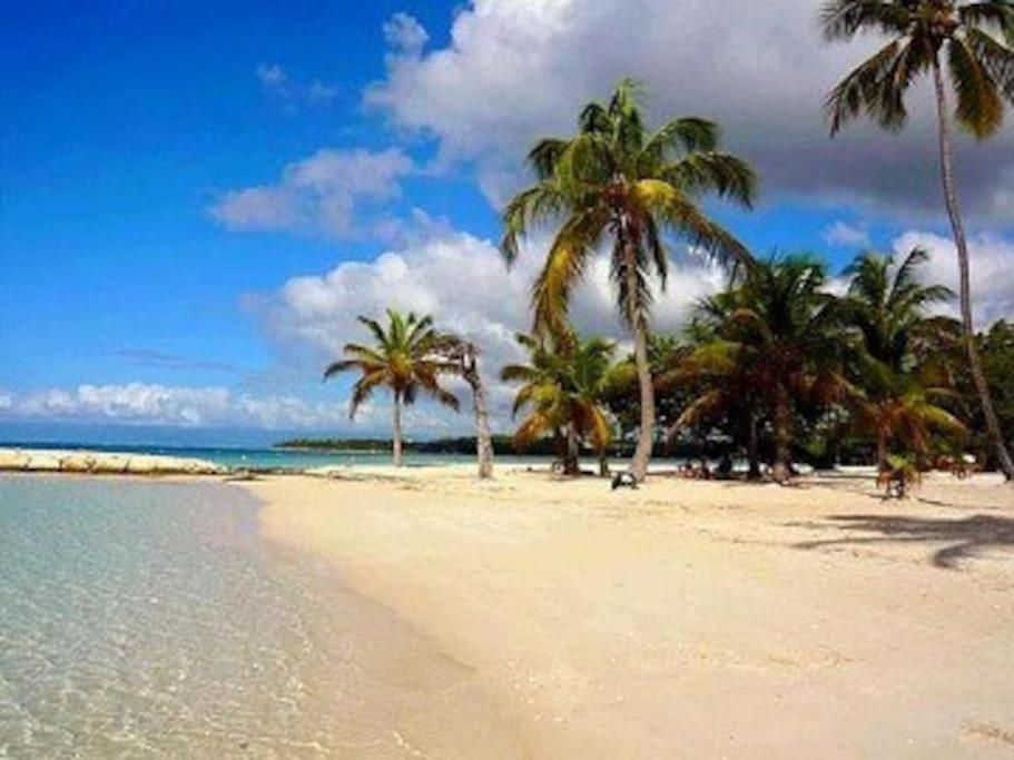 La Playa - Cozy - 2 A 5 Personnes