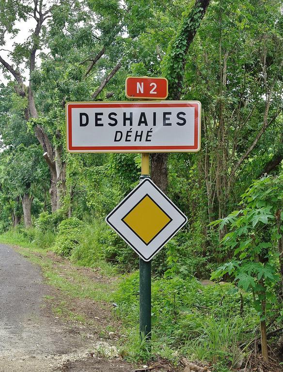 Campo de férias Les Merveilleux Flots De La