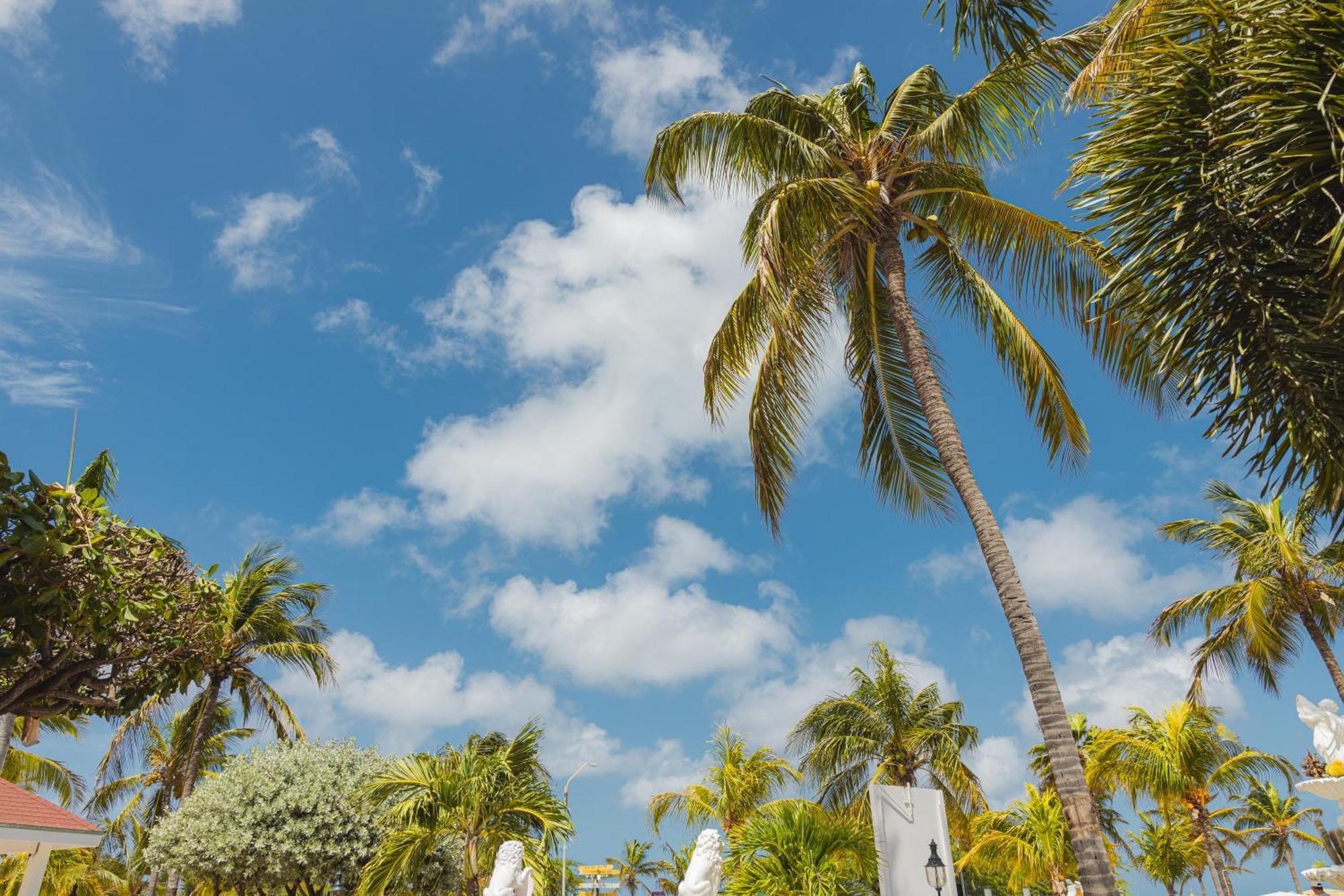 Amsterdam Manor Beach Resort