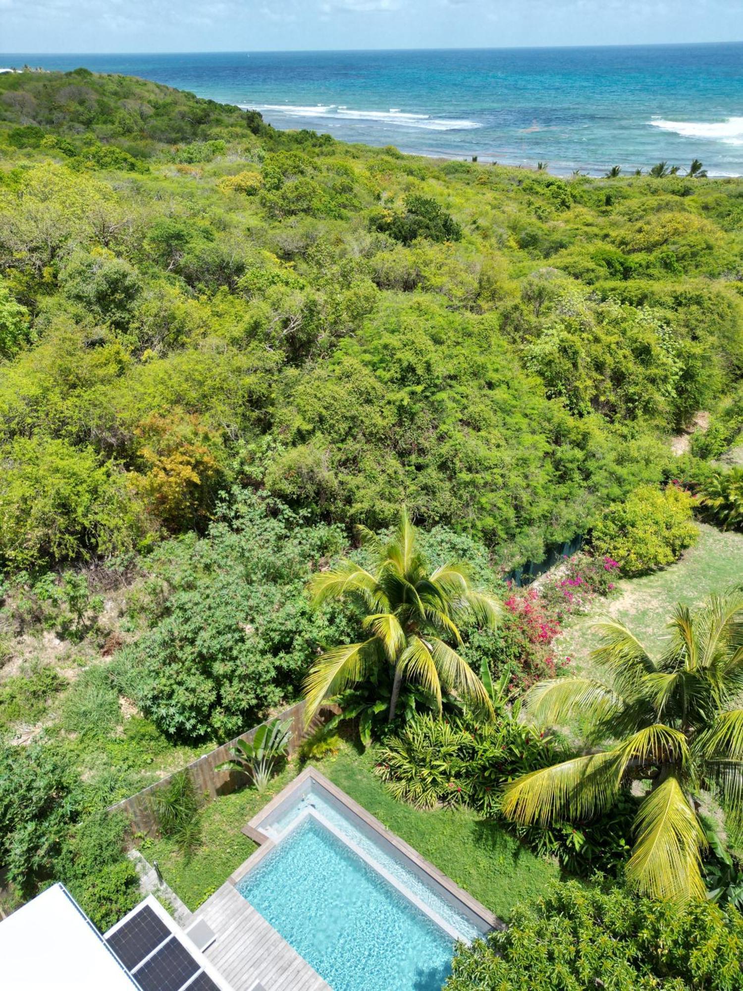 - Piscine A Debordement & * Saint-Francois (Grande-Terre)