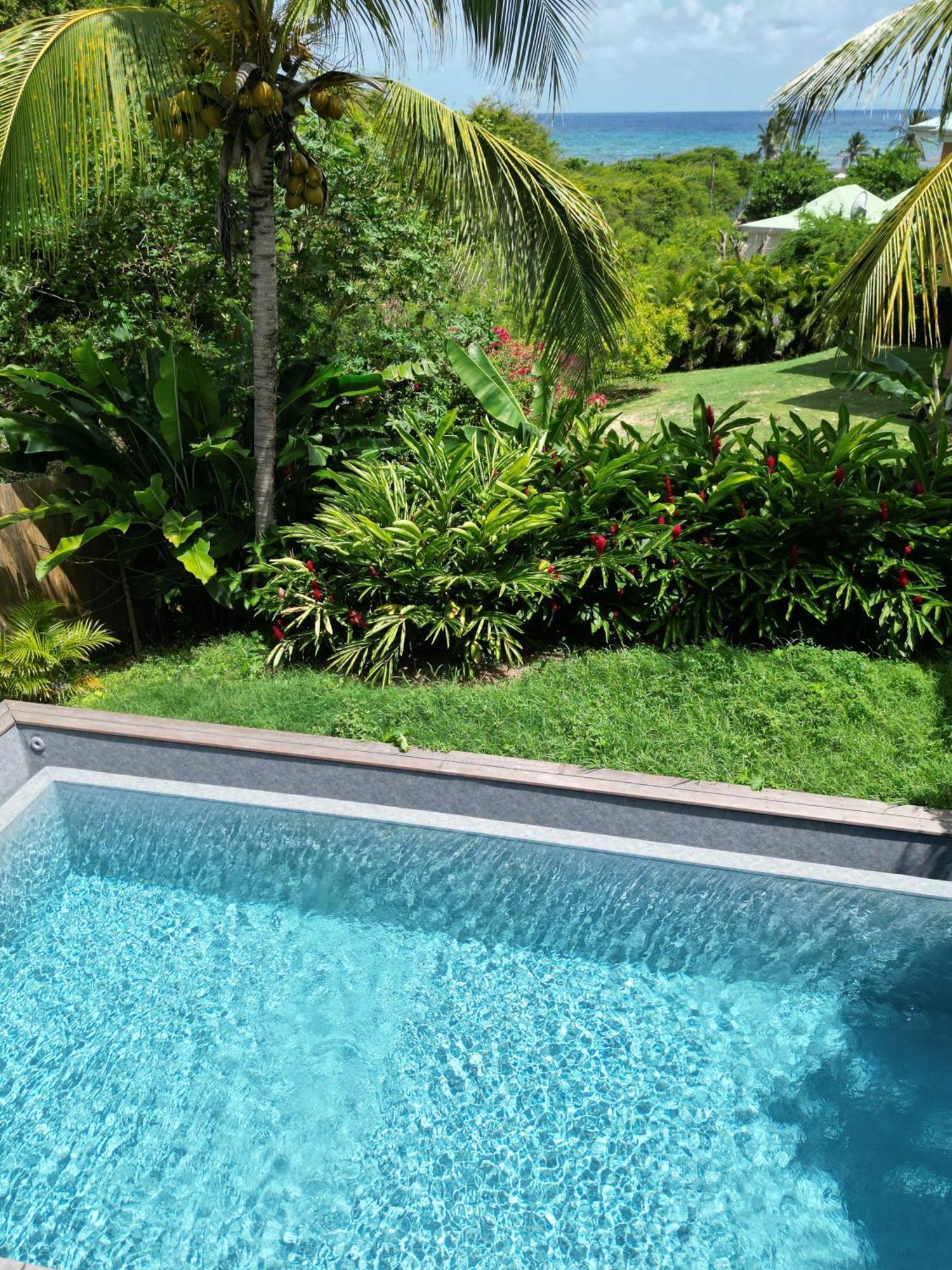 Villa - Piscine A Debordement &
