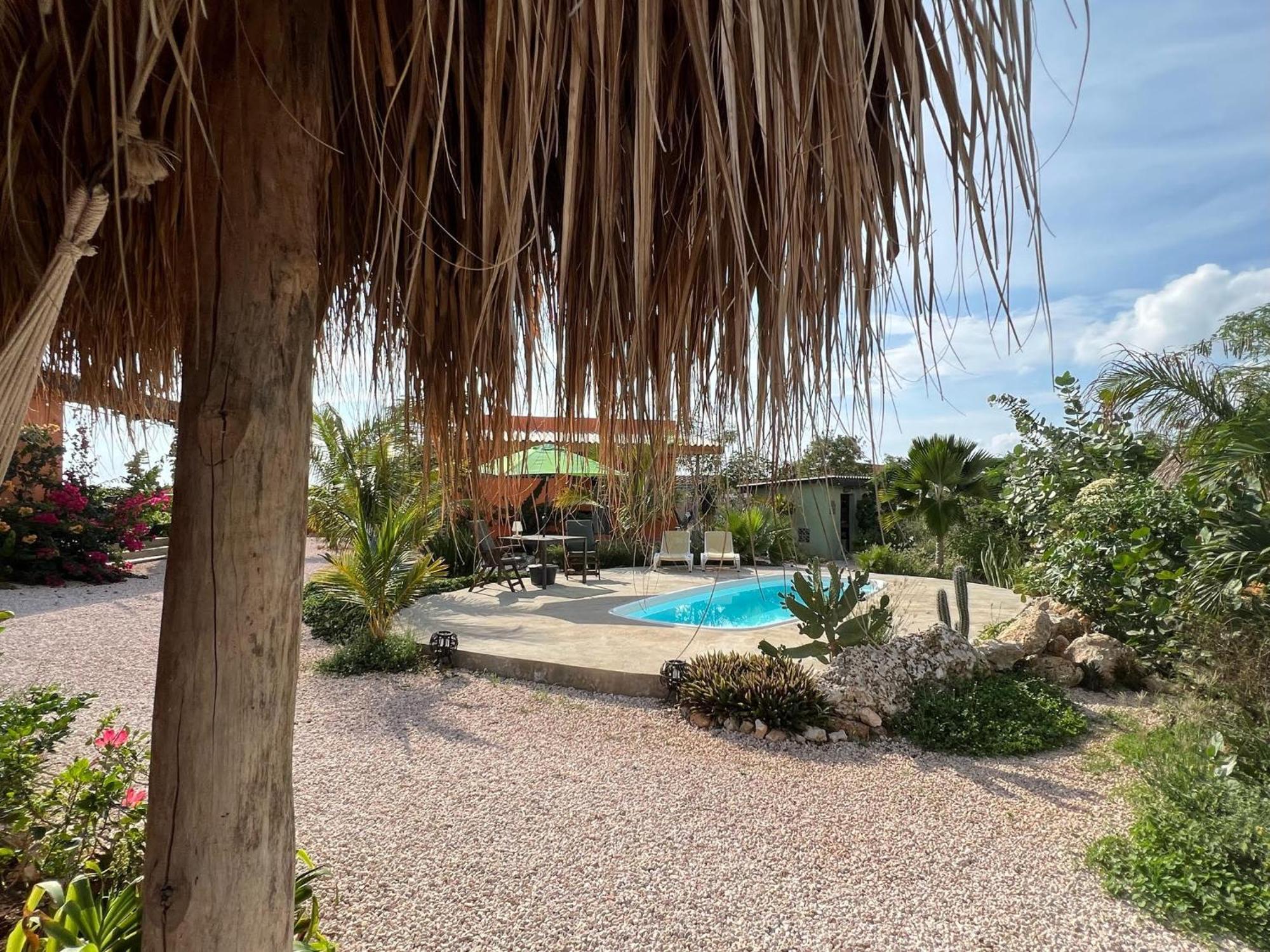 The Octopus Tropical Oasis Bed & Breakfast Sint Michiel