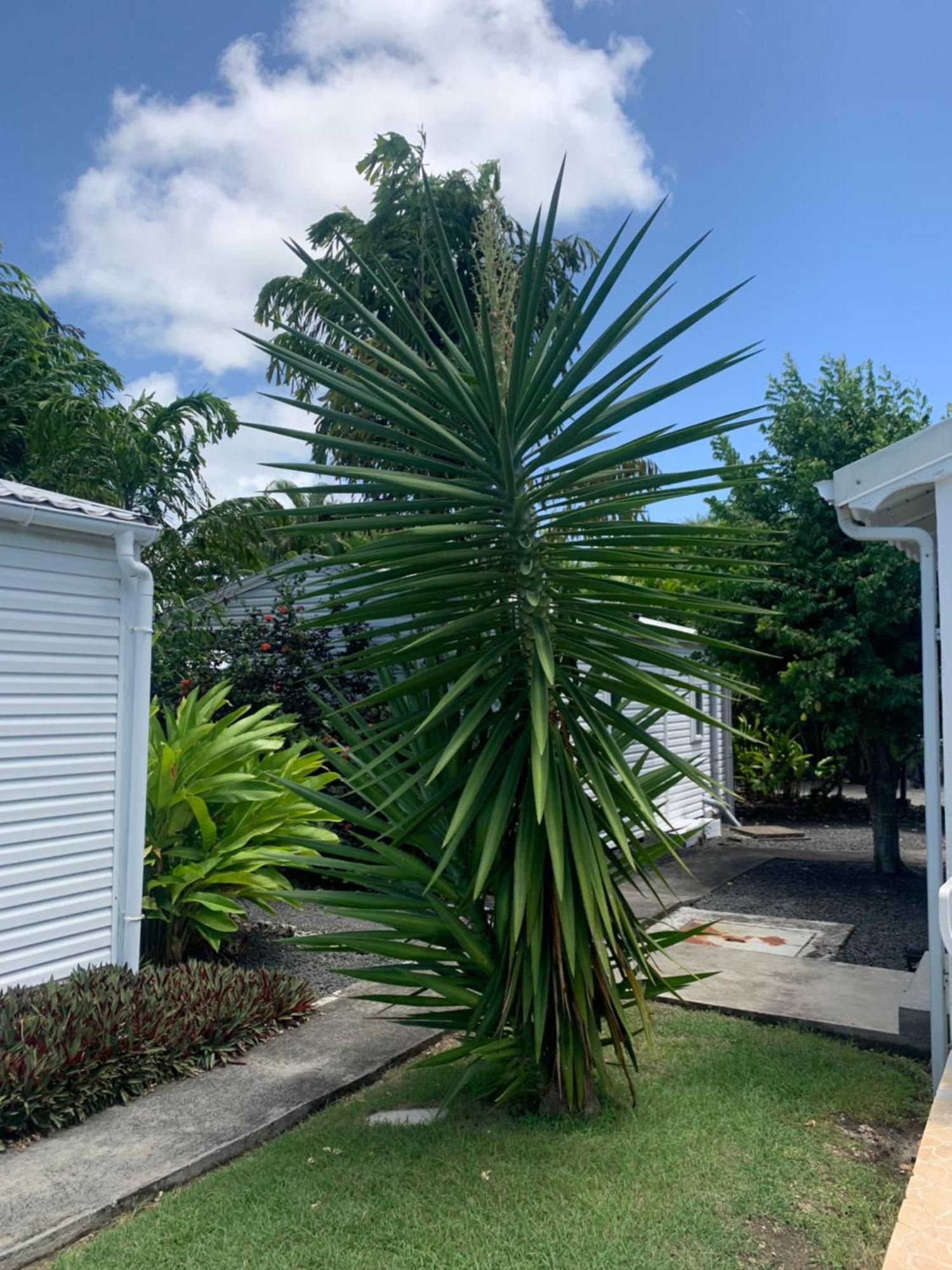 Holiday home Ty Koko Saint-Francois (Grande-Terre)