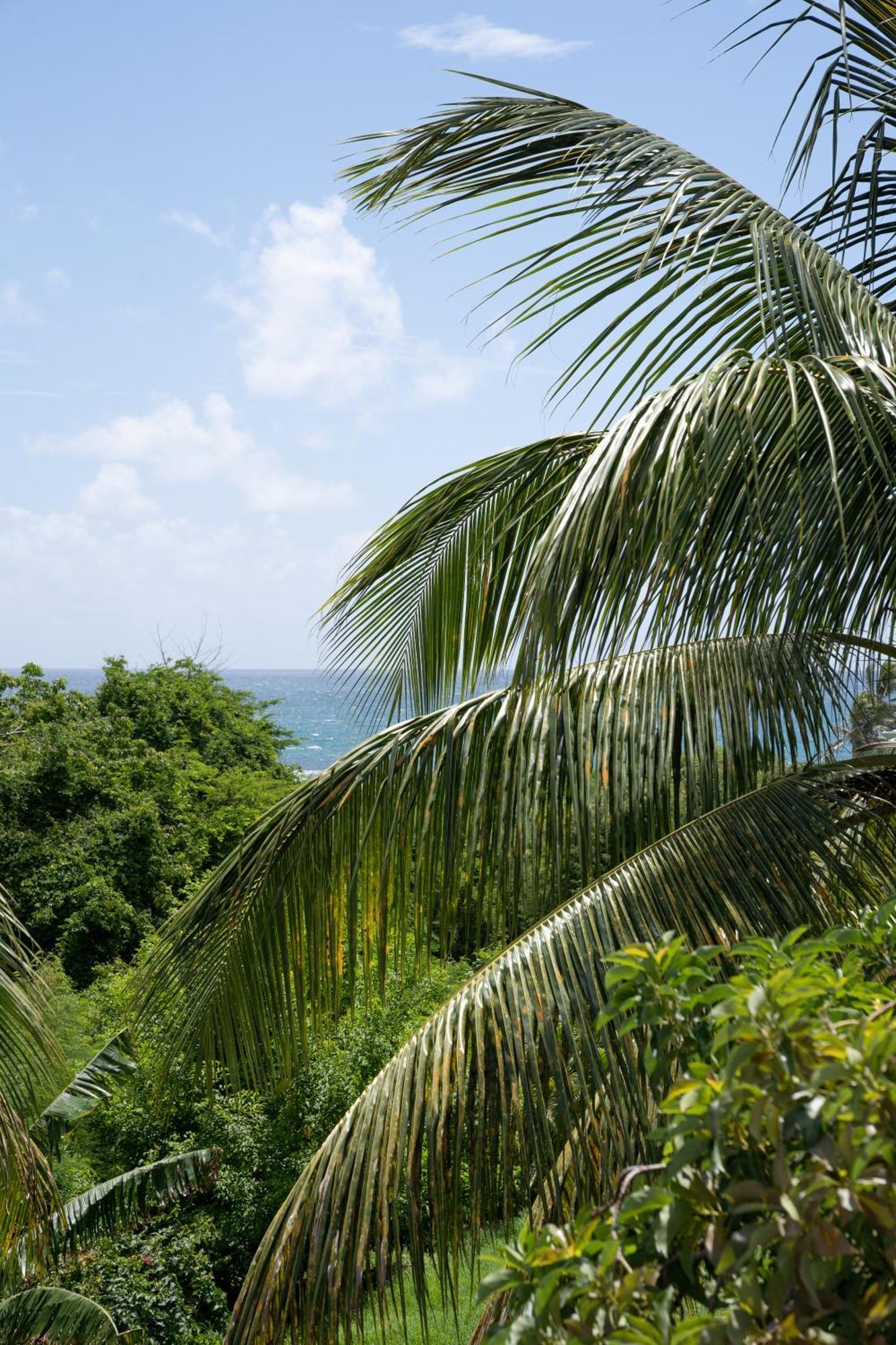 - Piscine A Debordement & Saint-Francois (Grande-Terre)