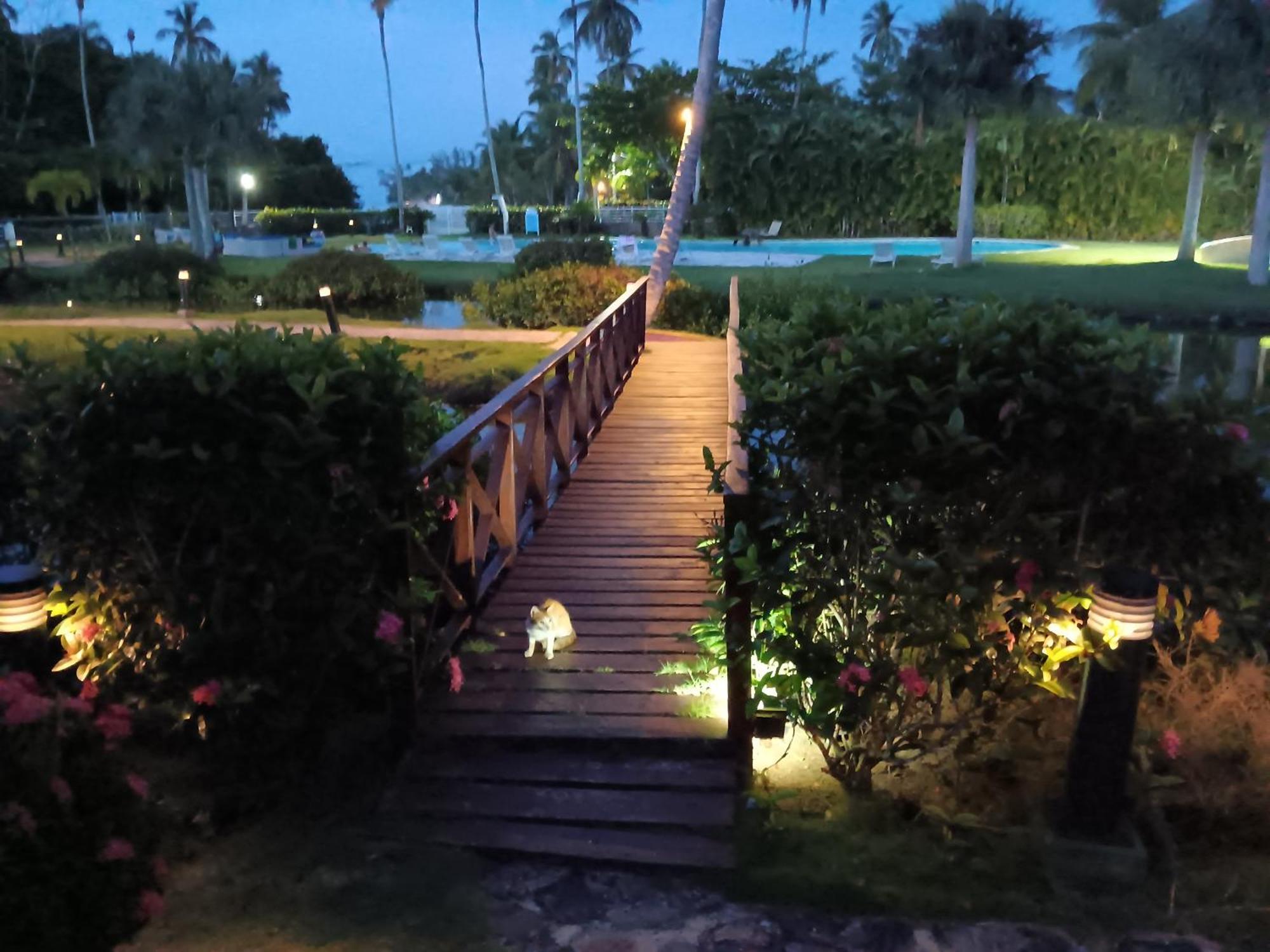 Newly Renovated Seaside Oasis At Bonita Village Apartamento
