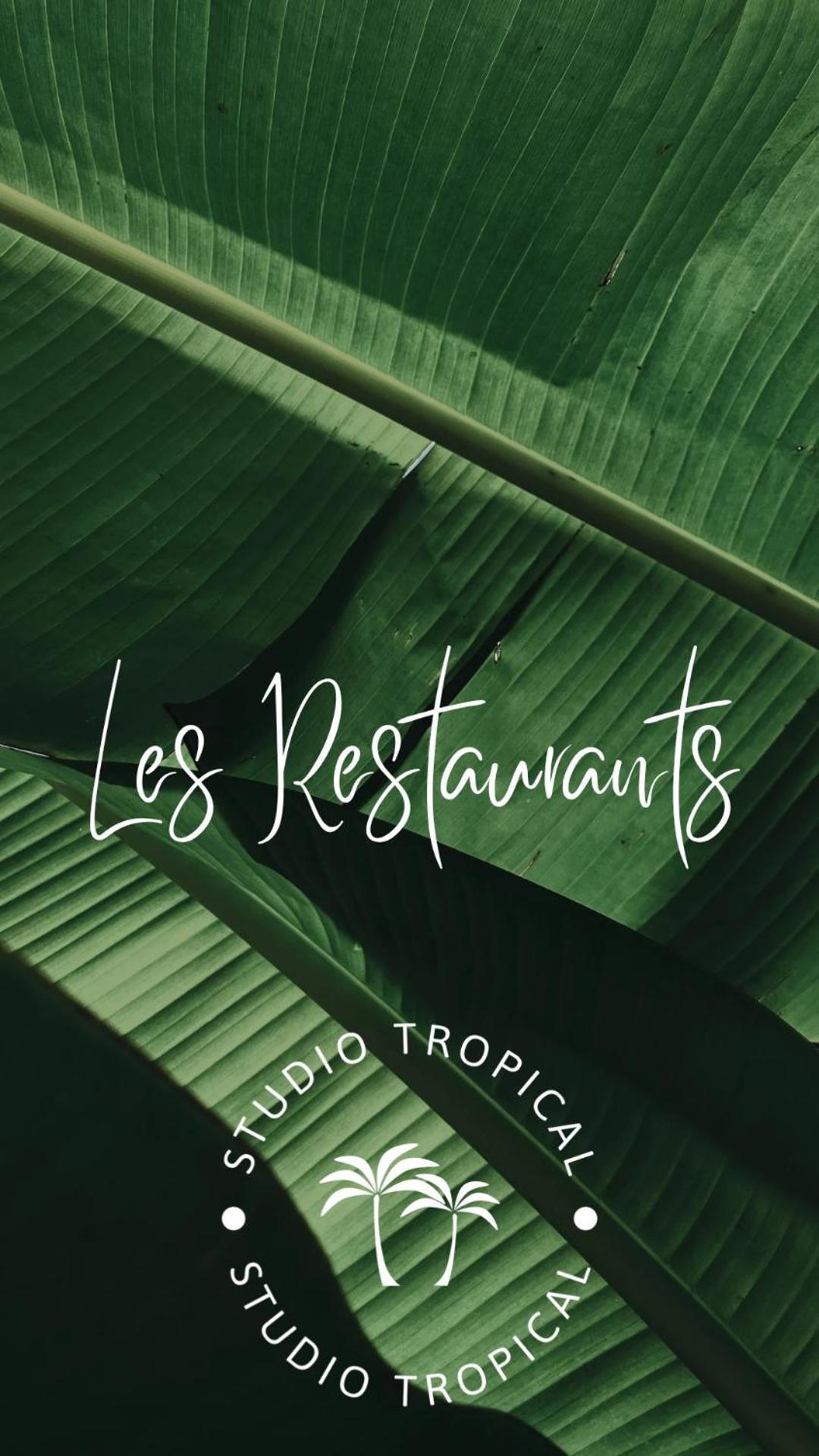 Tropical Avec Vue Dans Hoteliere *