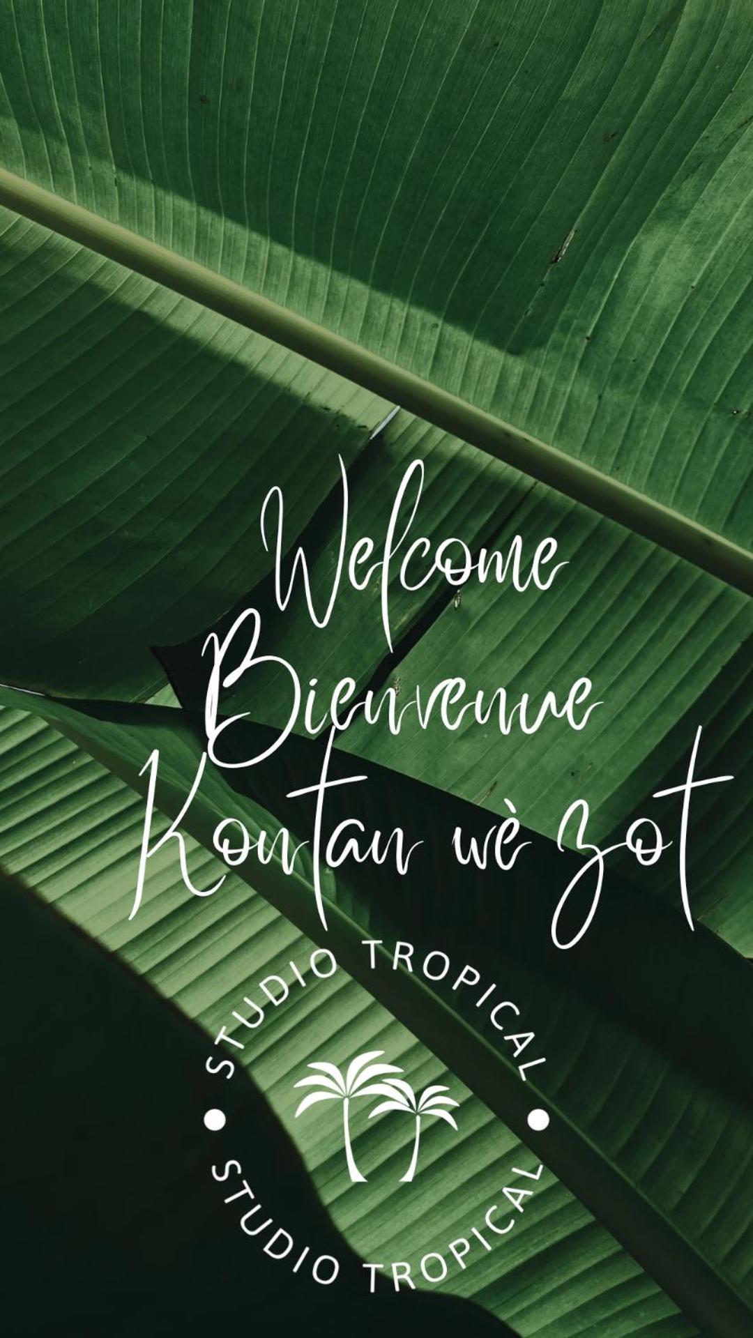 Apartment Tropical Avec Vue Dans Hoteliere Sainte-Luce