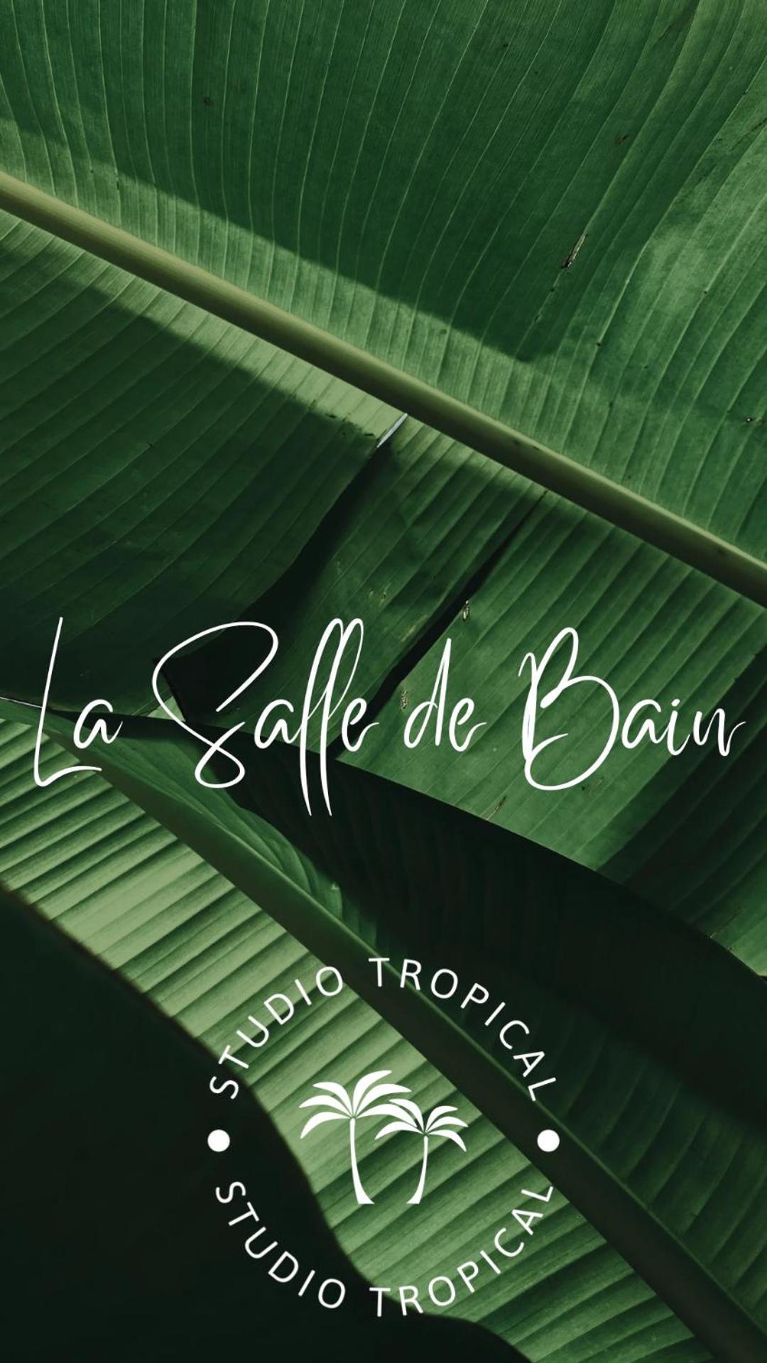 Tropical Avec Vue Dans Hoteliere *
