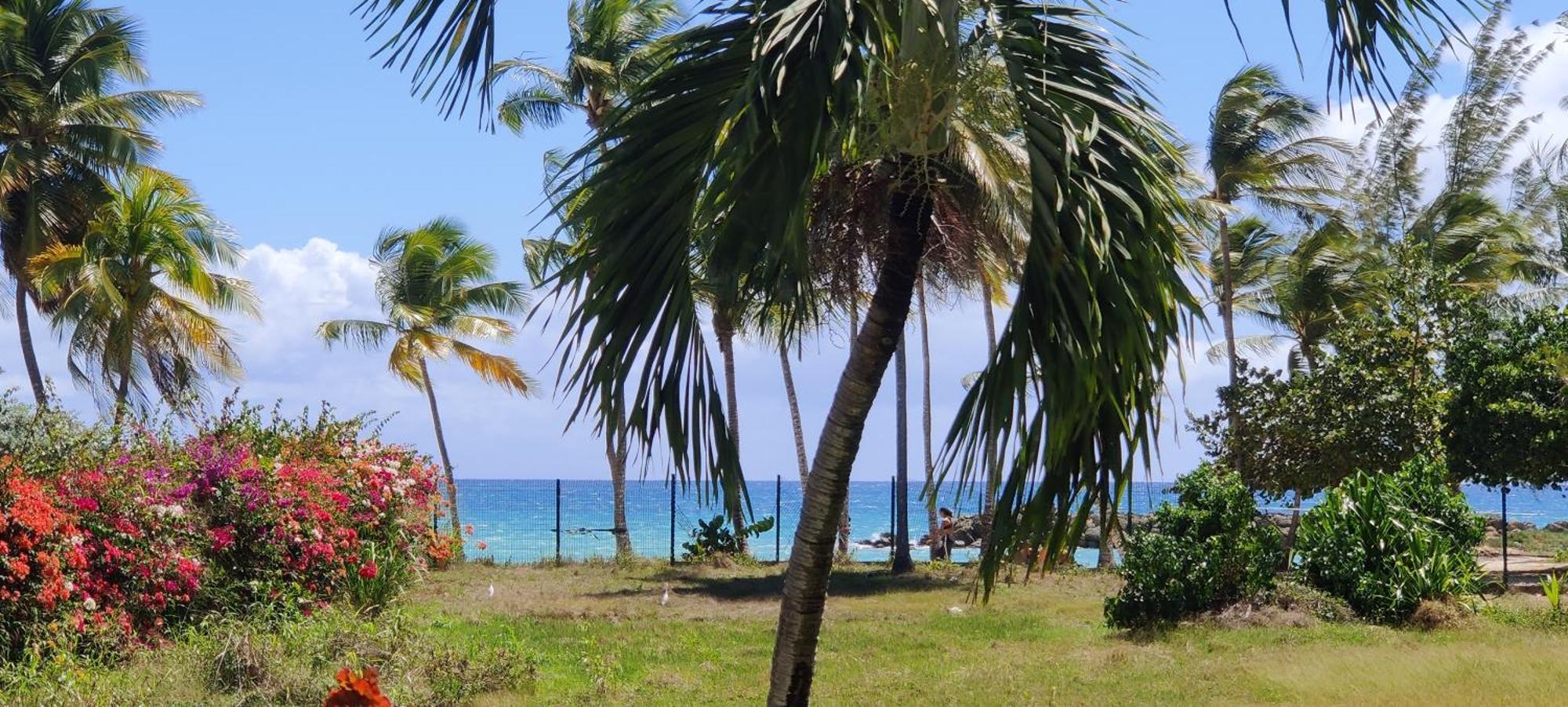 Apartment Parfum Des Iles - Vue Mer, A 30m Et Piscine En Option *