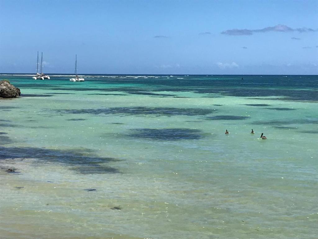Les Pieds Dans L'eau Face Au Lagon - Le Bel Instant Apartment