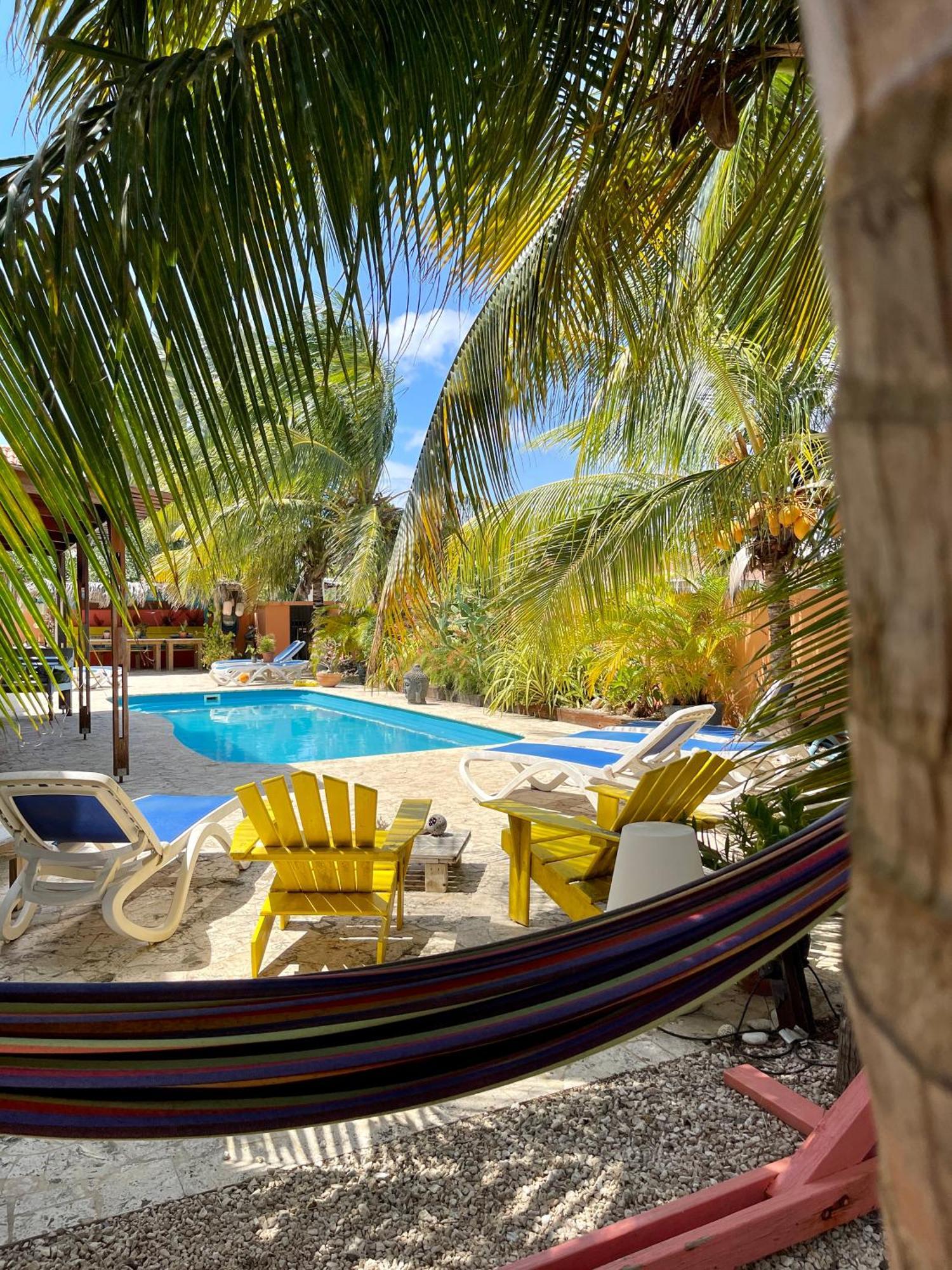 Oasis Guesthouse, Boutique Style 3* Kralendijk (Bonaire)