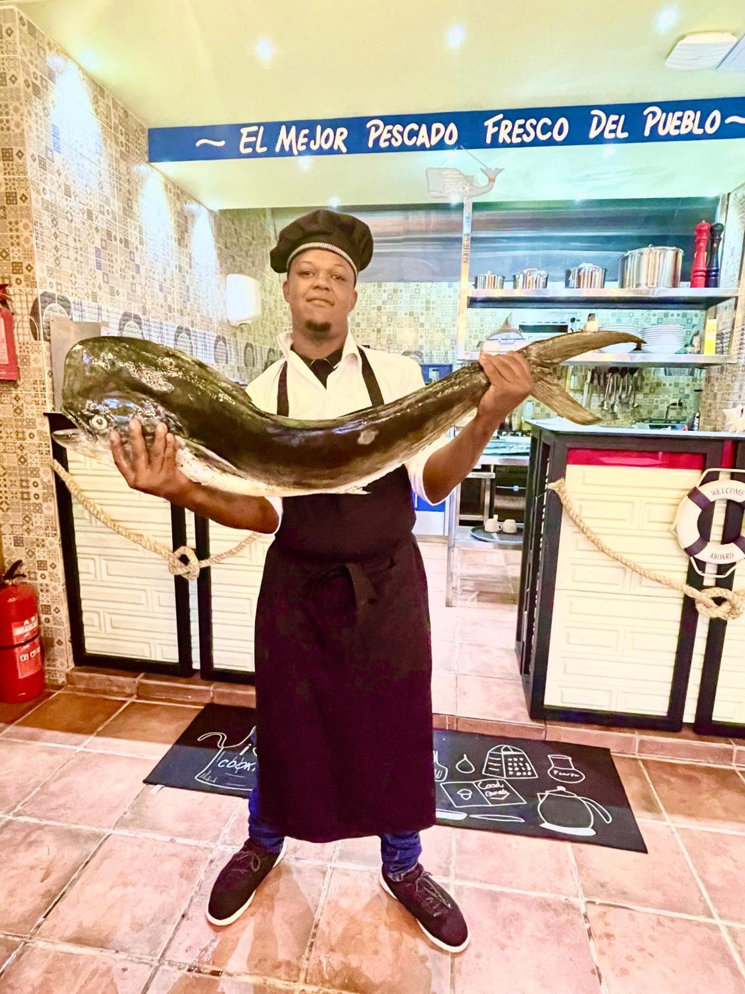 Iguana 3*