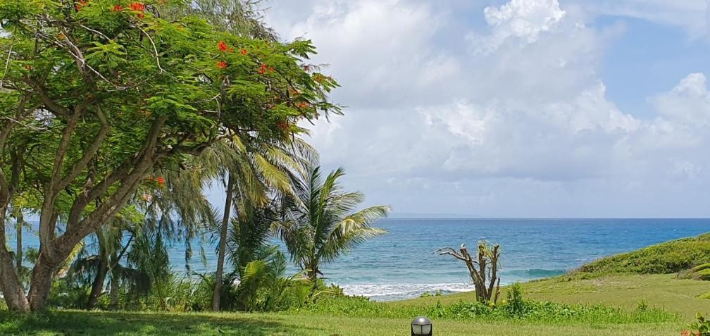 Martial Tropiques: Beachfront With Sea Views In Ste Anne Apartment Sainte-Anne (Grande-Terre)