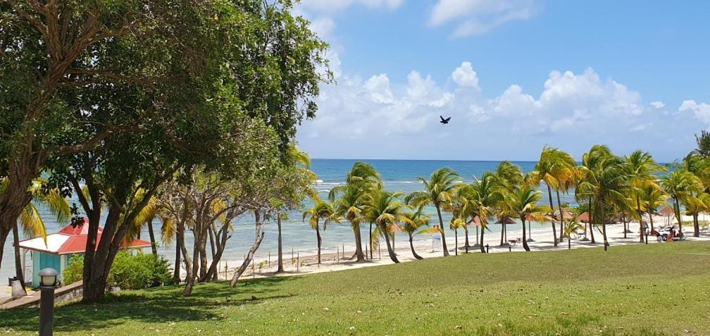 Apartment Martial Tropiques: Beachfront With Sea Views In Ste Anne *