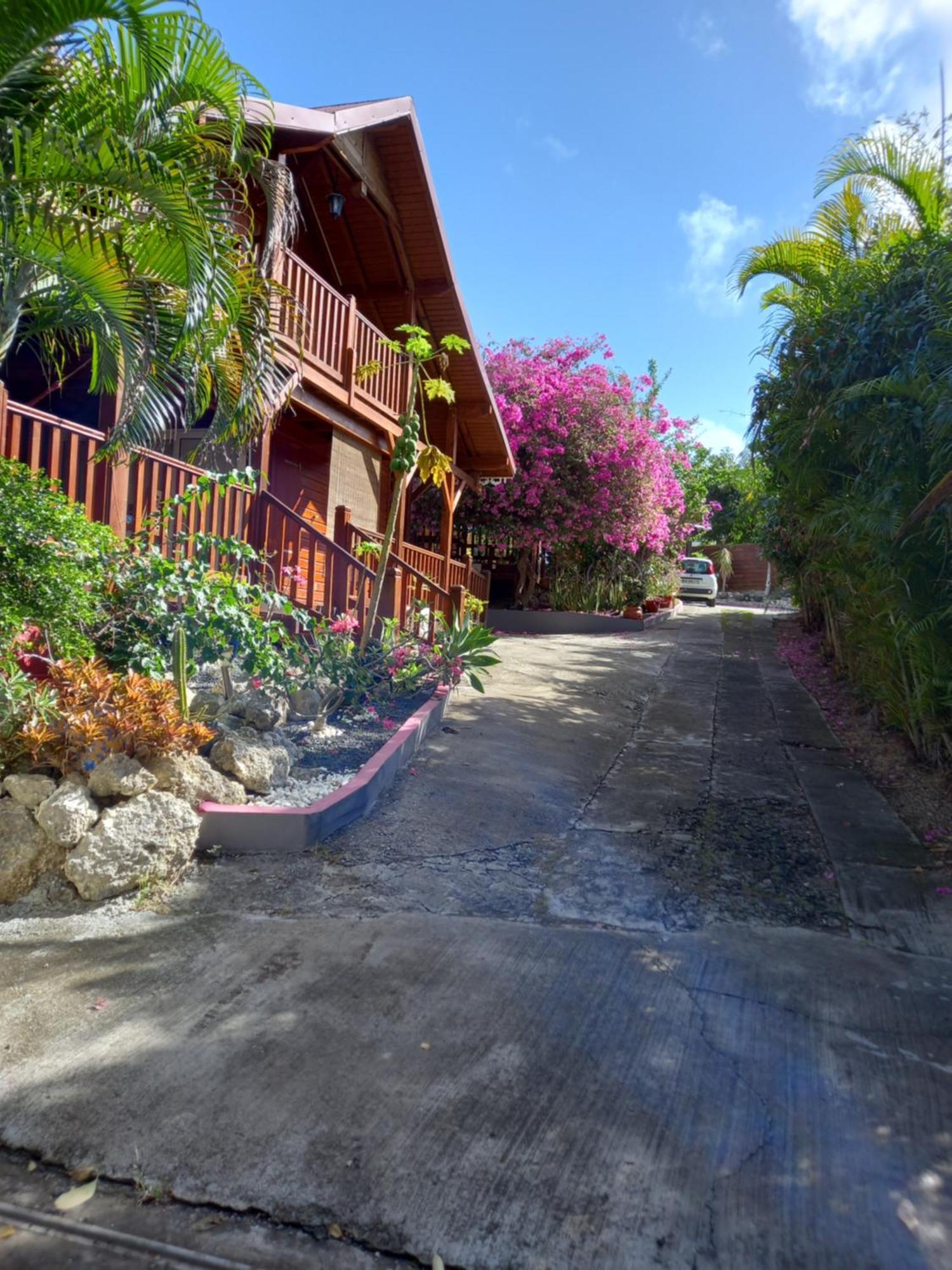 Le Neem Guest house *