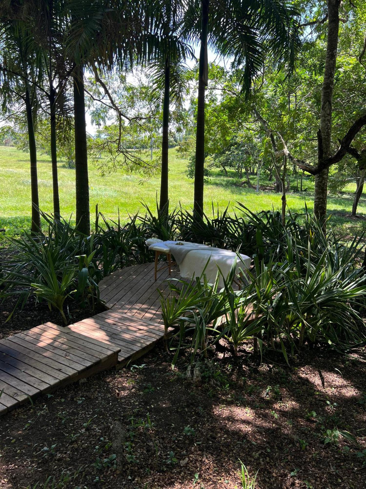 Oya - Wellness Eco & Retreat 5*