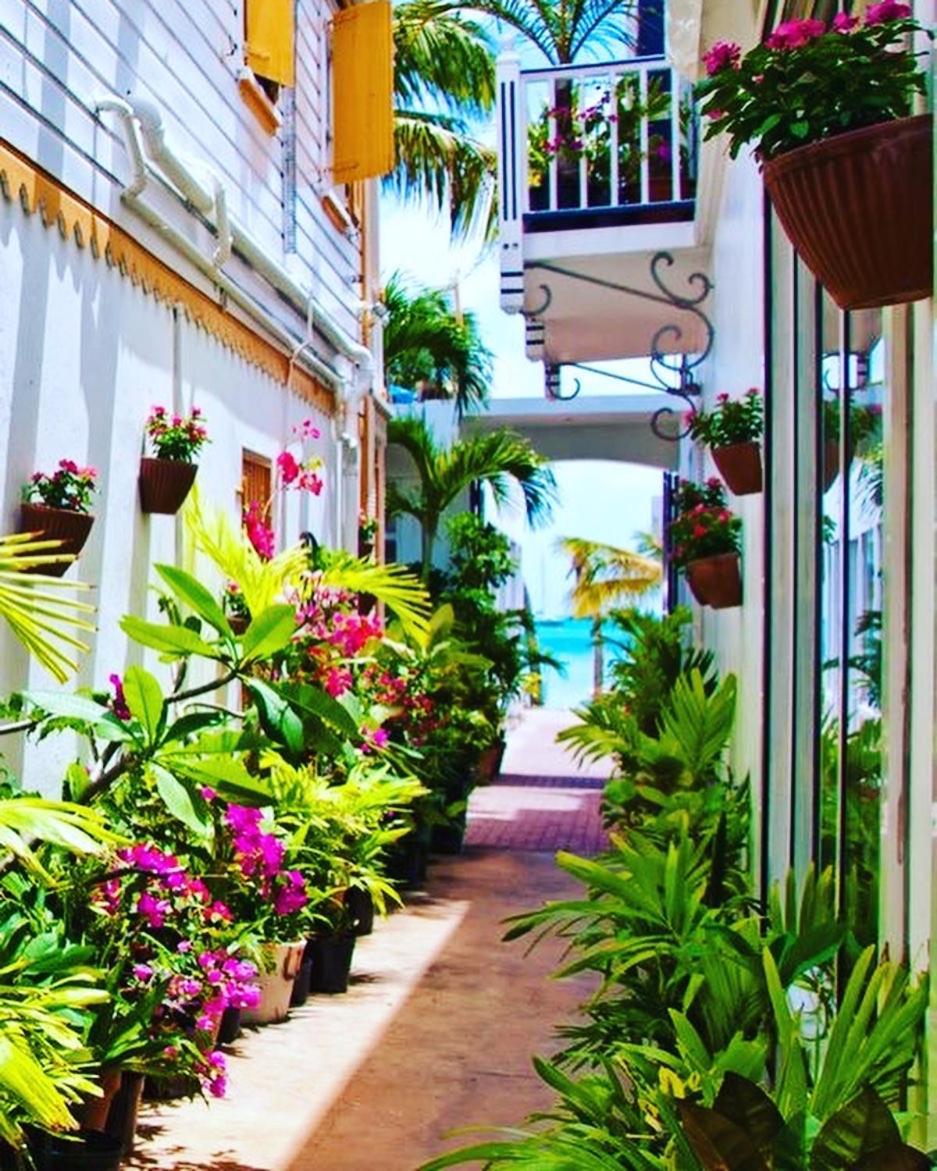 Apartment Pirate Of The Caribbean Sea View