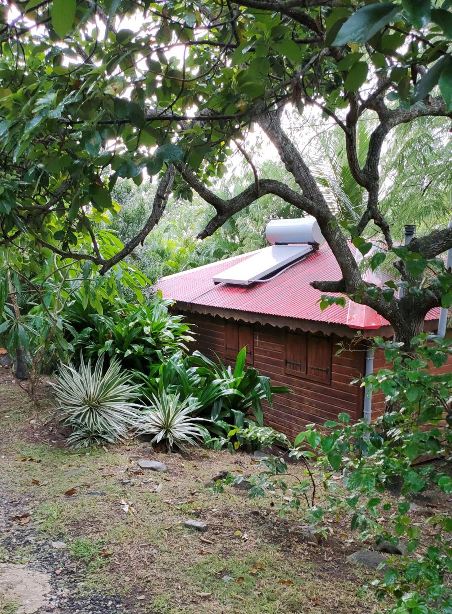 Au Vieux Manguier Casa de férias Deshaies