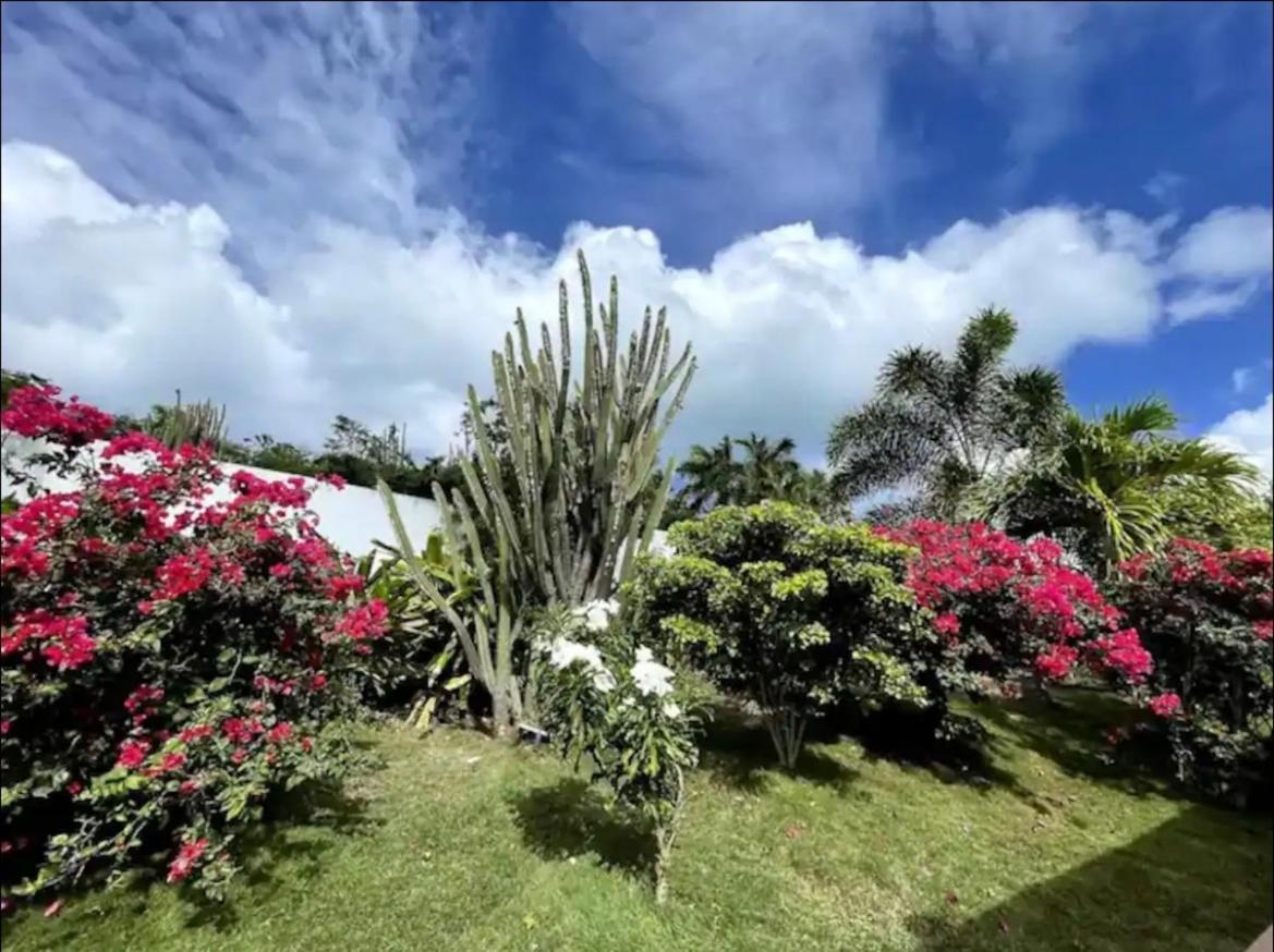 Maison De Camille Guest house Baie Nettle