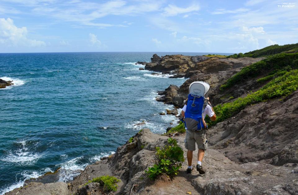 Retraite Tropicale En Bord De
