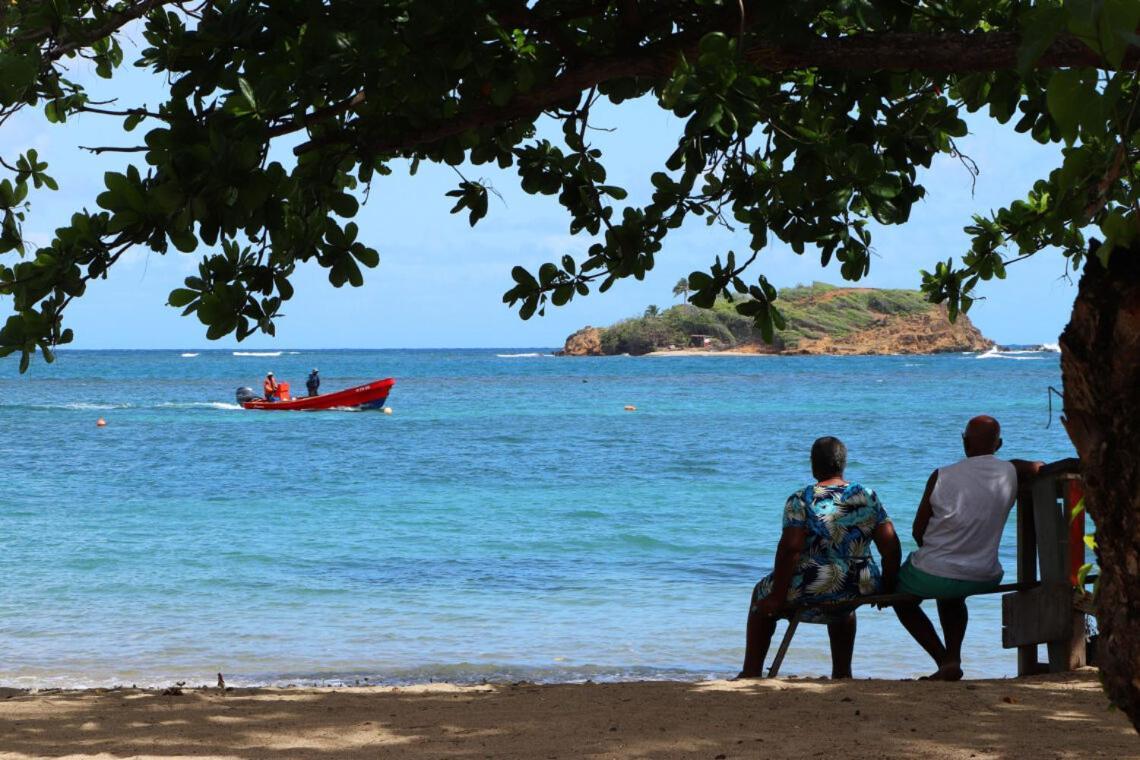 Retraite Tropicale En Bord De La Trinite