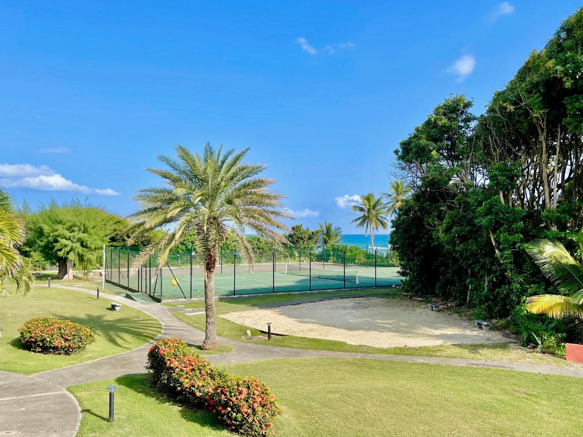 Apartment Guadeloupe- Saint-francois- Anse Des Rochers - Quart De Etage - Vue Mer- 4 Personnes - Lit Bebe Sur Demande - Citerne Et Wifi Prives -animaux Ok-acces Direct -apnee Bien-etre Experience Sur Demande Avec Instructeur A