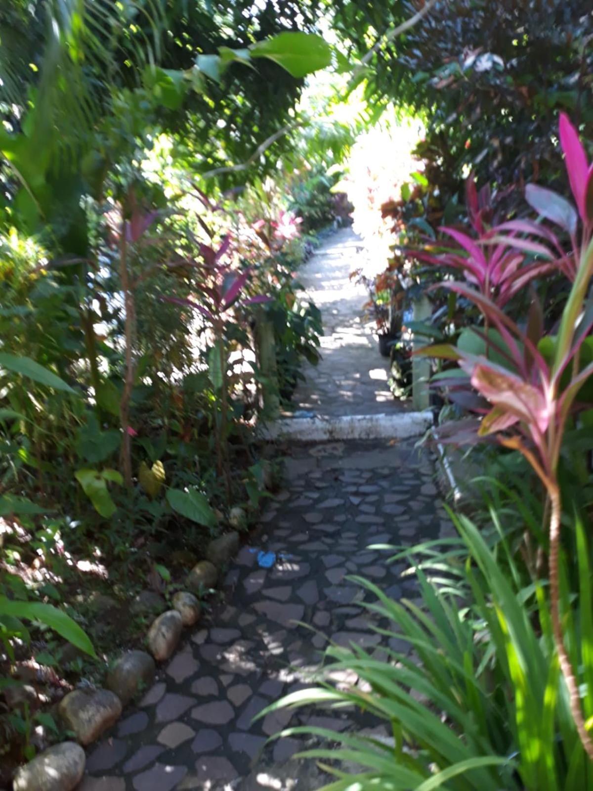 Hibiscus Valley Pensão Marigot