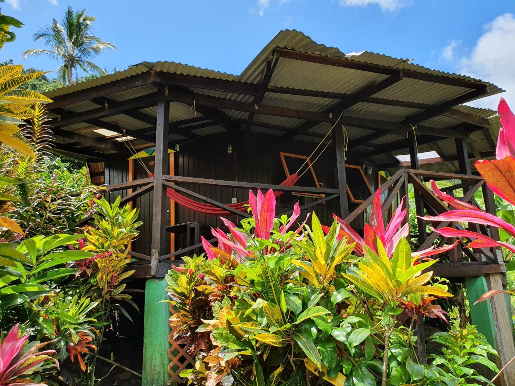 Hibiscus Valley Marigot