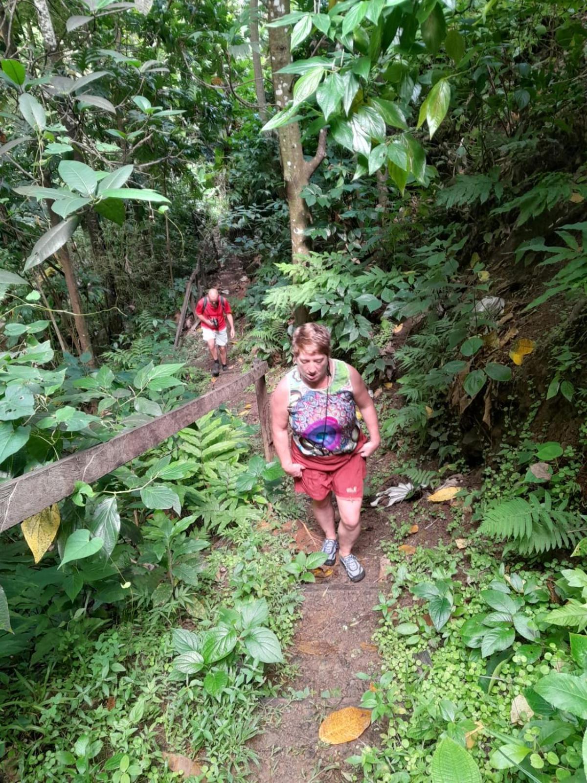 Hibiscus Valley Pensão Marigot