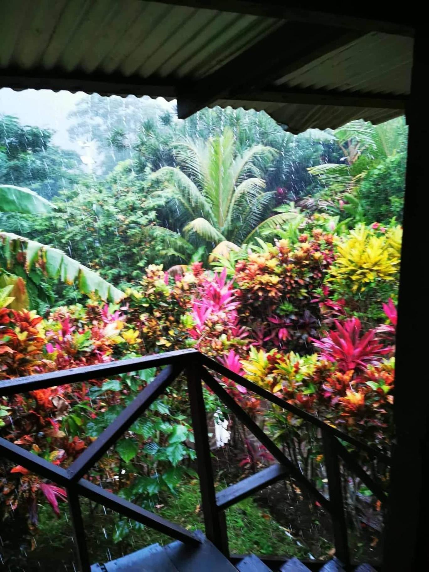 Hibiscus Valley Pensão