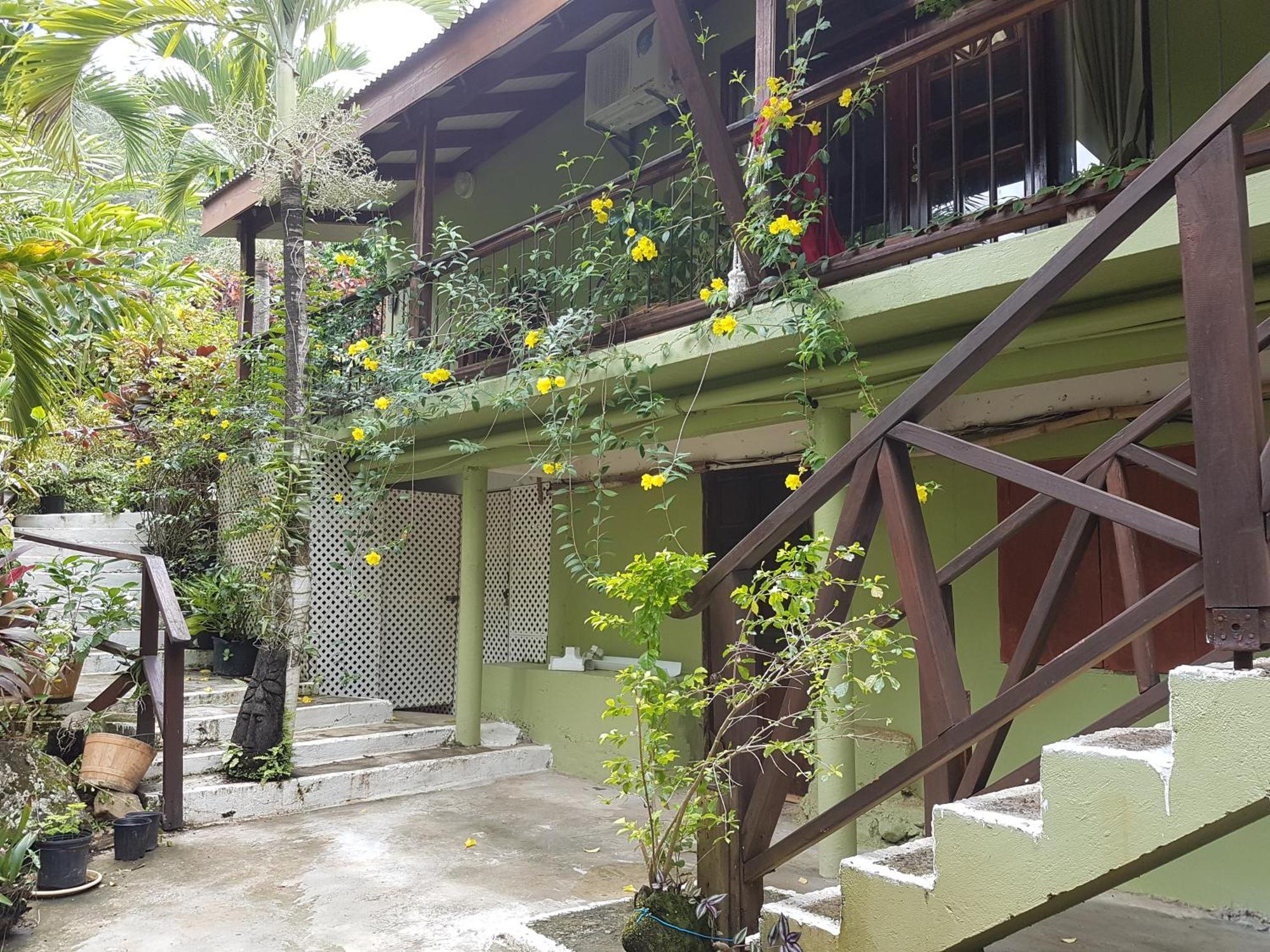Hibiscus Valley 3*