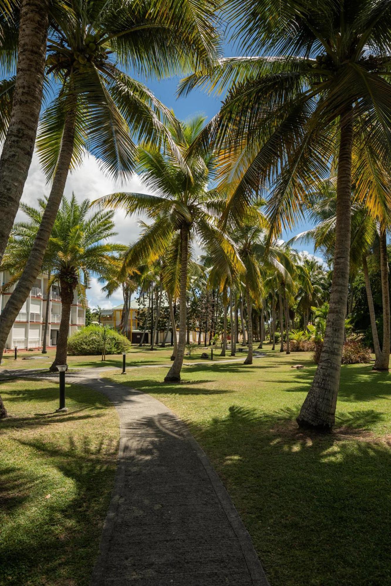 Anse Des Rochers * Saint-Francois (Grande-Terre)