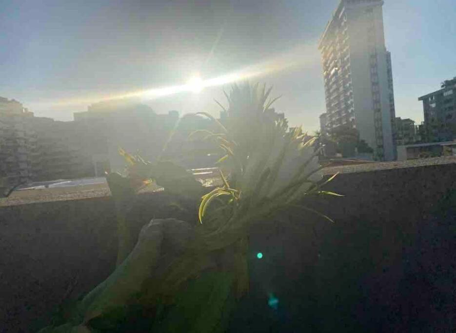 Apartamento Fresh Tropical Colonial Style Walk-up- Rooftop Terrace- View *