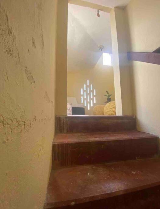 Fresh Tropical Colonial Style Walk-up- Rooftop Terrace- View Apartamento