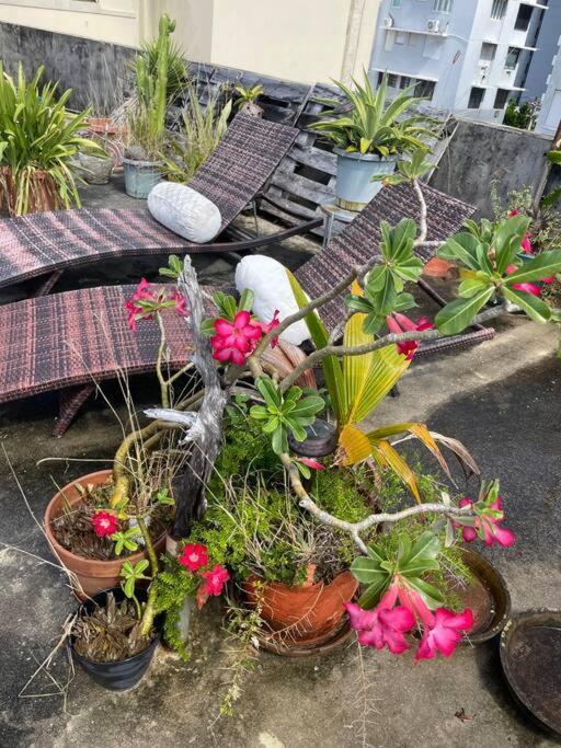 Apartamento Fresh Tropical Colonial Style Walk-up- Rooftop Terrace- View San Juan