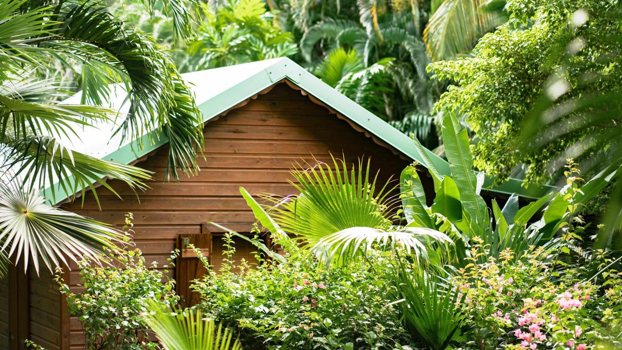 Au Jardin Des Colibris Ecolodge&spa Deshaies