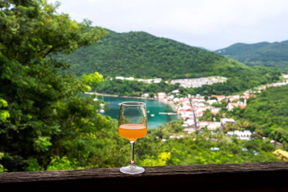 Au Jardin Des Colibris Ecolodge&spa Deshaies