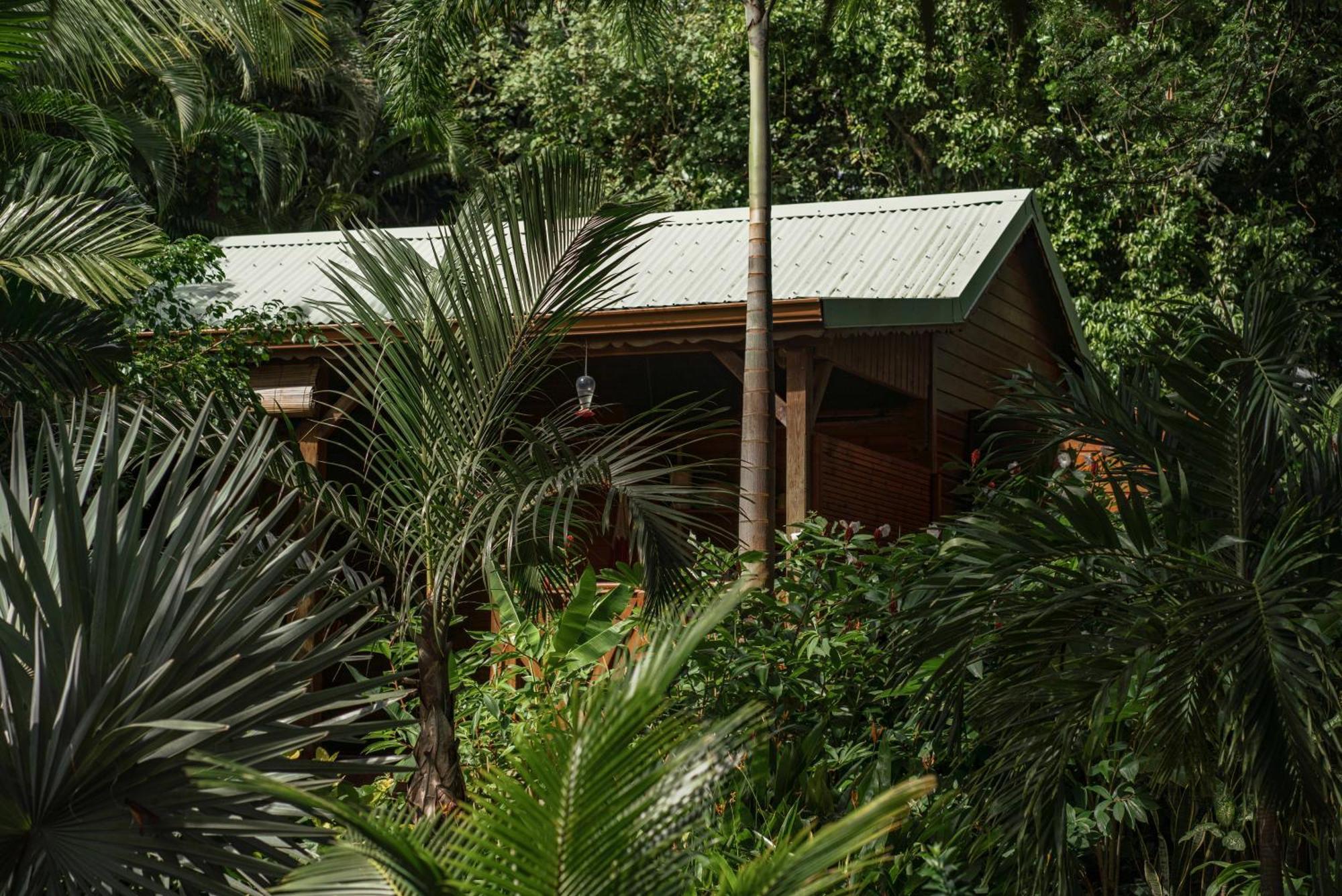 Holiday park Au Jardin Des Colibris Ecolodge&spa *