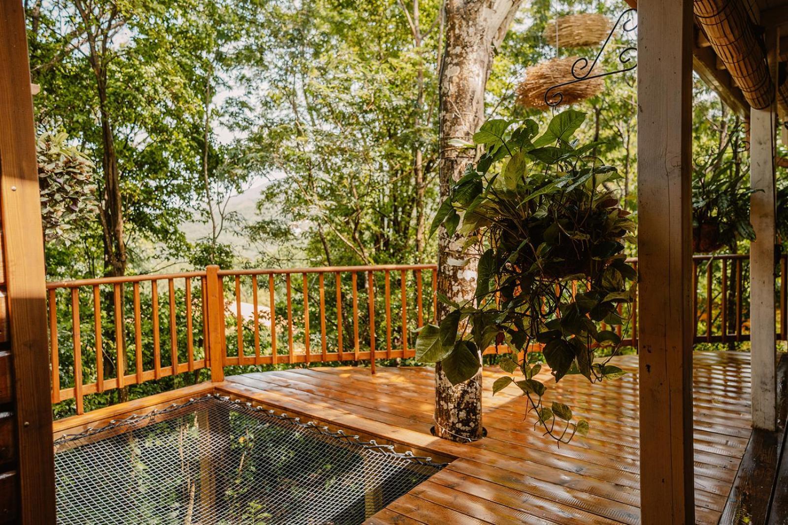 Holiday park Au Jardin Des Colibris Ecolodge&spa Deshaies